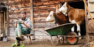 Где растет прибыль. Чем заняться в сельском хозяйстве, чтобы заработать наверняка, быстро и много