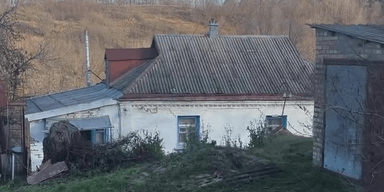 "Пейзажи, как в Карпатах": украинка купила гнилой дом в селе под Киевом