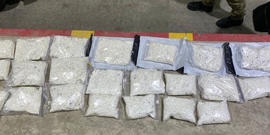 Схопили з 20 кг пігулок: уродженець РФ організував на Закарпатті наркотрафік з ЄС (фото)