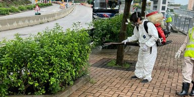 Новая эпидемия в Китае: вирус чикунгунья выявили уже у 7000 человек (фото, видео)
