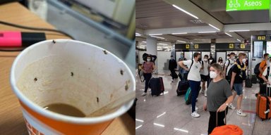 Девушка покинула аэропорт, борясь за свою жизнь после того, как выпила кофе с насекомыми