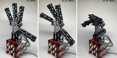 Терминатор из LEGO. Подросток собрал роботизированную руку из конструктора (видео)