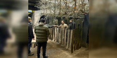 На БТР-4 РФ з'явився захист "Одуванчик", невразливий для FPV: чим він особливий (фото)