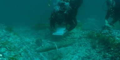 Люди подняли бунт: морские археологи исследовали обломки рабовладельческого судна 18 века