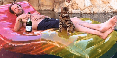 Кот, который ходит по ресторанам, стал звездой собственного телешоу (фото)