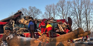 ДТП во Львовской области: международный автобус въехал в дерево, пострадали пассажиры