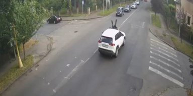 В Ужгороде чиновник сбил велосипедиста и скрылся, — журналист