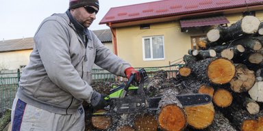 Як визначити якість дров за допомогою рідини для миття посуду (відео)