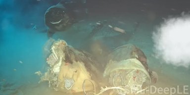 Тушу корови скинули у море і ненавмисно прикликали "сплячих монстрів": про них мало що відомо (відео)