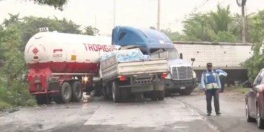 "Библейская чума": нашествие лягушек привело к масштабным ДТП (фото)