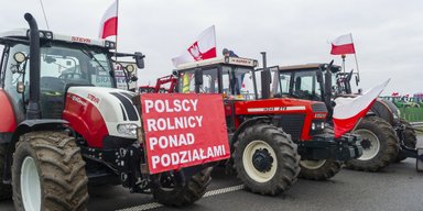 Протесты фермеров на границе: нет доказательств, что ЕС страдает от конкуренции, — Politico