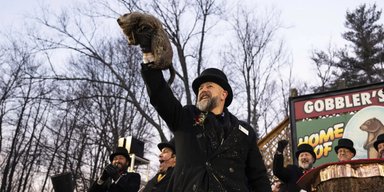 День сурка: Фил в США предсказал еще два месяца зимы (видео)