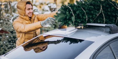 Не потерять по дороге и не заплатить штраф: как легко перевезти елку в автомобиле