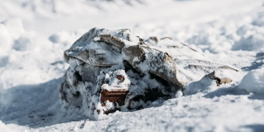 В леднике нашли путешественника, который "заблудился" 400 лет назад (фото)