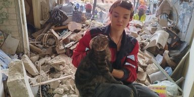 Настоящее чудо: в Киеве спасли кота, который пробыл под завалами 10 часов (фото)
