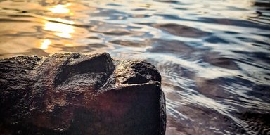 З озера в Польщі дістали середньовічну балку: у неї було стародавнє обличчя (відео)