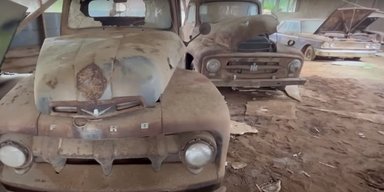 На фермі виявлено занедбану колекцію старовинних авто (відео)