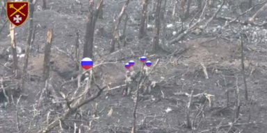 На Запорожском направлении 12 оккупантов оказались в плену "обалденных" бойцов ВСУ (фото)