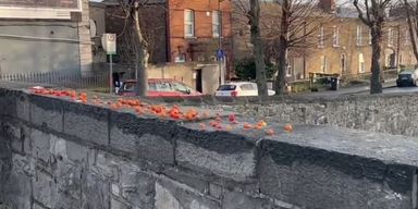 Горожане не могут понять, зачем кто-то постоянно оставляет помидоры на мосту (фото)