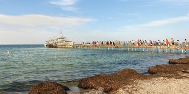 Зверский остров. Где человек лицом к лицу встречается с дикой природой