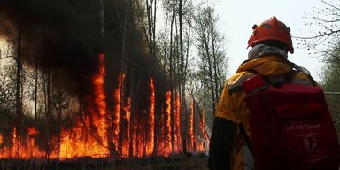 Російську Якутію охопили масштабні лісові пожежі: запроваджено режим НС (відео)