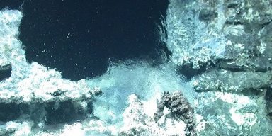 Неожиданный подводный мир был обнаружен глубоко в океане на севере Земли (фото)