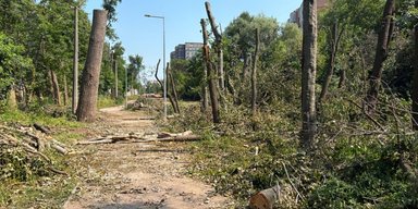 "КГГА не сдержала слово": на Теремках снова начали работы несмотря на мораторий, — активистка