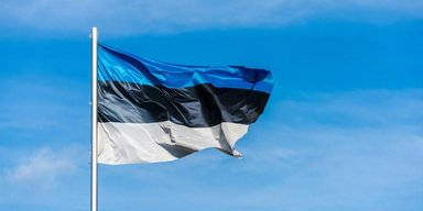 "Не является красной линией": Эстония не исключает возможности отправки своих войск в Украину