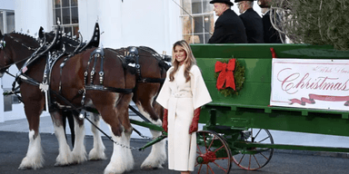 Мелания Трамп в пальто Dior показала главную елку Белого дома (фото)