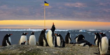 Подальше от новостей и общественного транспорта. Зачем украинские ученые сбегают в Антарктиду