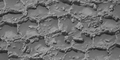 Неужели инопланетяне: Curiosity обнаружил странные многоугольные структуры на Марсе (фото)