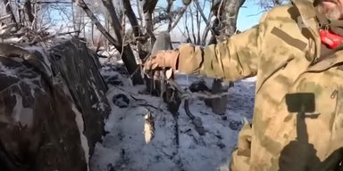 Грызуны атакуют окопы: солдаты РФ начали болеть из-за нашествия мышей и крыс на передовой