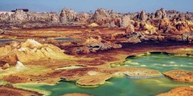 480 млн років тому крихітна істота запустила вибух біорізноманіття на Землі: хто це був