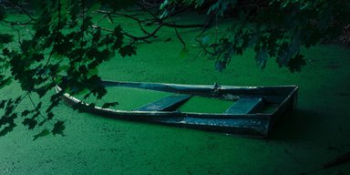 Фосфор у воді та кисіль з водоростей. Чому Дніпро цвіте і чим це небезпечно