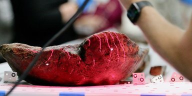 Ученые нашли 10 древних каноэ в озере Мендота: самому старому из них почти 5000 лет (фото)