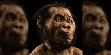 Мудрецы древнего мира: 3 особенности, отличающие Homo Sapiens от обезьян