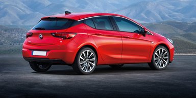 Цветение астры. Opel Astra