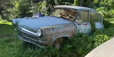 Ржавая классика: в Украине обнаружили кладбище ретроавто (видео)