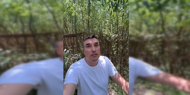 Досягають 9 метрів у висоту: на дні Каховського водосховища виріс густий вербовий ліс (відео)