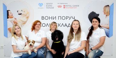 Терапія із собаками: Royal Canin Foundation продовжує розвивати каністерапію в Україні