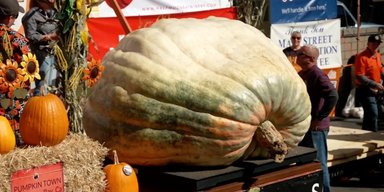 Цього вистачить на 1200 пирогів: оголошено переможця конкурсу на найбільший гарбуз у світі у 2026 році