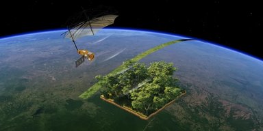 Революційний інструмент: вчені використають "космічні ваги", щоб зважити всі ліси Землі