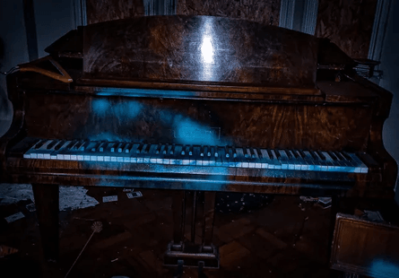 Покинутий особняк, будинок, руїни, житло, нерухомість, розкішне житло, розграбували вандали, цінні речі, курйози, фотограф