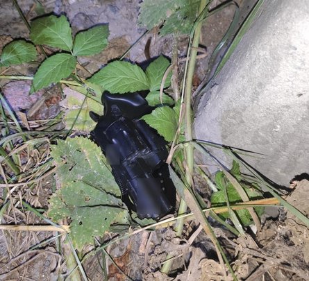 Васильків, стрілянина, зброя,