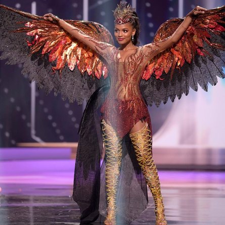 мисс сша, феникс