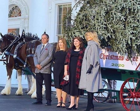 Мелания Трамп, Белый дом, рождественская ель