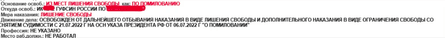 Владимир Путин, указ Путина, Путин помилование, Путин помиловал зэков, Путин Вагнер