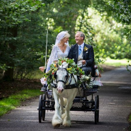 Свадьба, Гарри Герберт, Клода Маккена