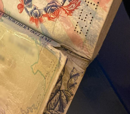 Въезд в Таиланд, паспортный контроль в аэропорту, получение визы, проблемы на границе, курьезы, Рози Вискоми, скандал