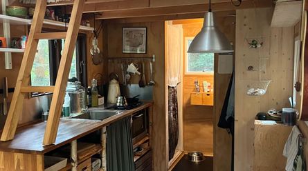 Мужчина возвел крошечный дом посреди леса, уволился с работы и наслаждается природой